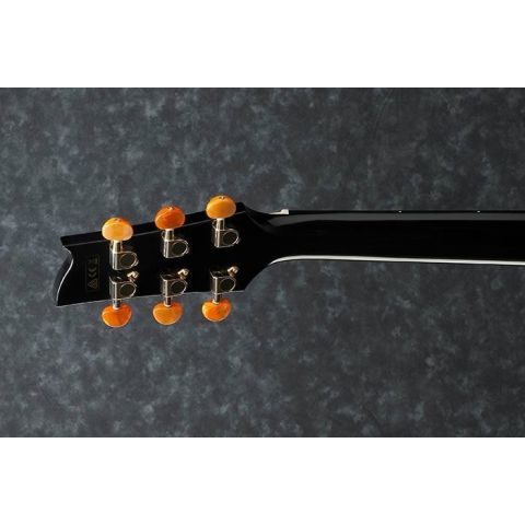Ibanez EP5 Steve Vai Guitarra...