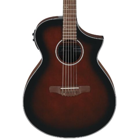 Ibanez AEWC11 Guitarra...