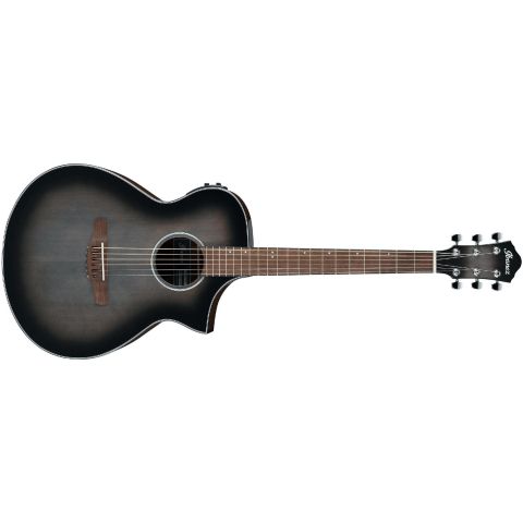 Ibanez AEWC11 Guitarra...