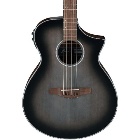 Ibanez AEWC11 Guitarra...