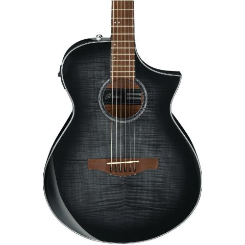 Ibanez AEWC400 Guitarra...