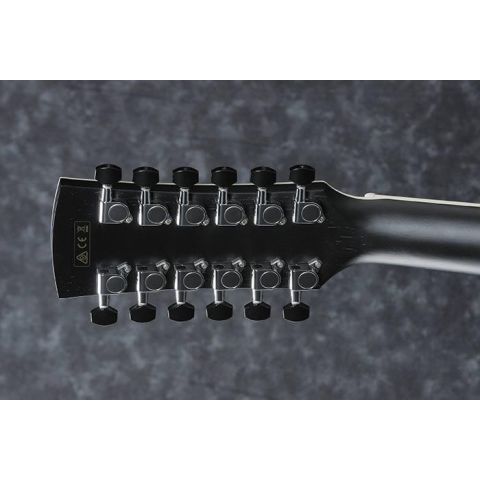 Ibanez AW84CE12 12S Guitarra...