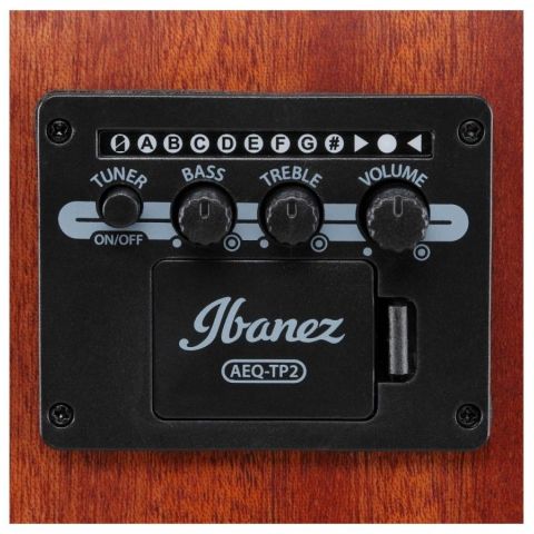 Ibanez AAD50CE LG Guitarra...