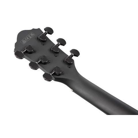 Ibanez AEWC12PMF Guitarra...