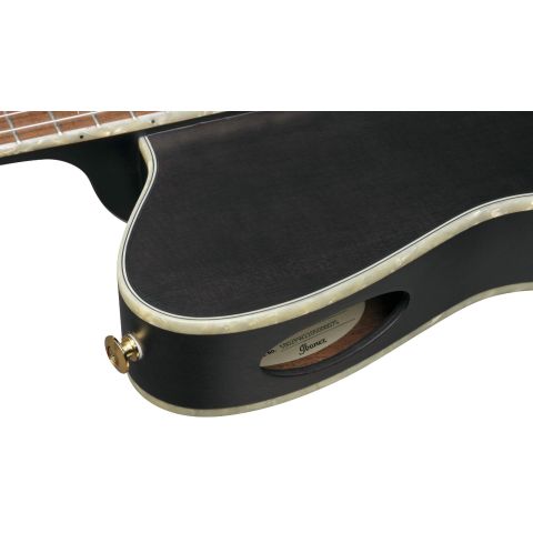 Ibanez TOD10N Tim Henson TKF Guitarra...