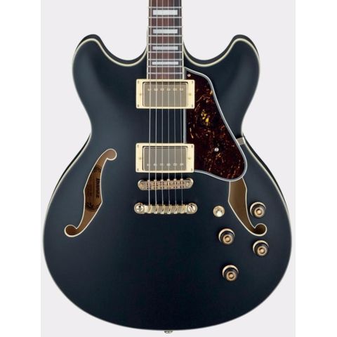 Ibanez AS73GBKF Guitarra Eléctrica Negra