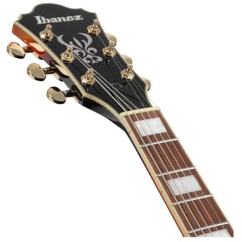 Ibanez AG75G Guitarra Eléctrica Brown...