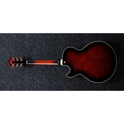 Ibanez AG95QA Guitarra Eléctrica Dbs 2