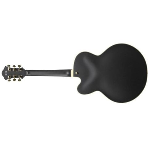 Ibanez Artcore AF75G Guitarra...