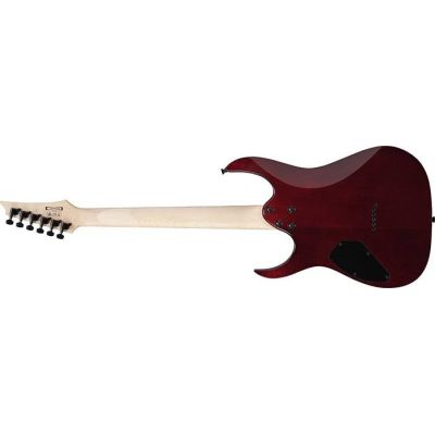 Ibanez GRGR221PAAQB Guitarra Eléctrica Aqua Blue 2