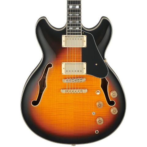 Ibanez JSM10 John Scofield Guitarra...
