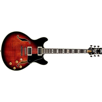 Ibanez JSM100 John Scofield Guitarra Eléctrica Vt