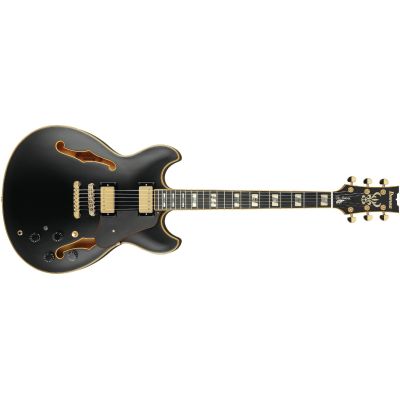 Ibanez JSM20 John Scofield Guitarra Eléctrica Bkl