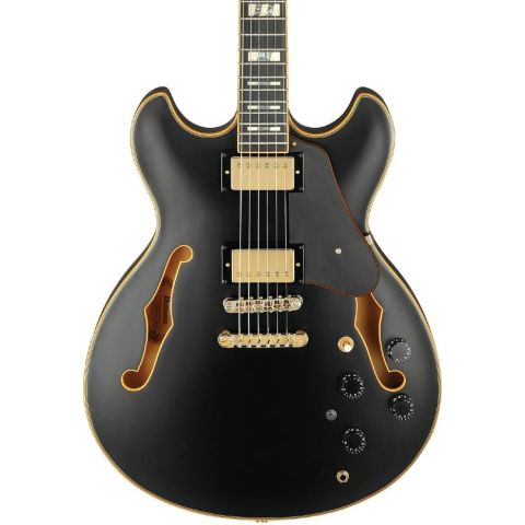 Ibanez JSM20 John Scofield Guitarra...