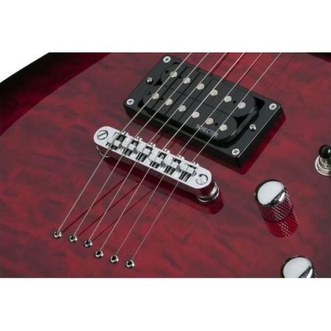 Schecter C6 Plus Guitarra Eléctrica...