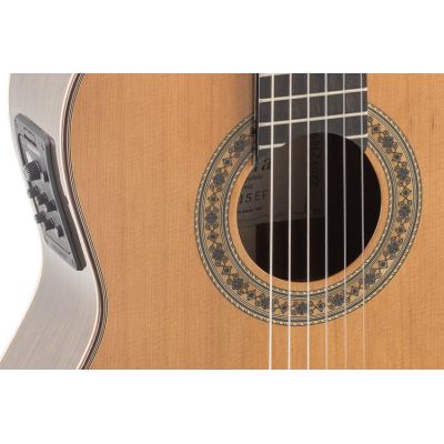 ADMIRA A15 ELECTRIFICADA CON FISHMAN
