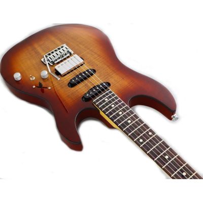 Fujigen Odyssey Boundary Mint Blue Guitarra Eléctrica 2