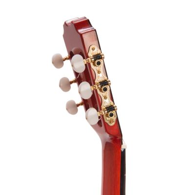 Prudencio Sáez 35F Flamenco Edición Especial pala lateral