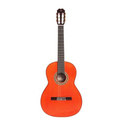 Prudencio Sáez 35F Flamenco Edición Especial