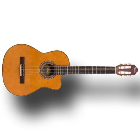 Valencia VC504C Natural Cutaway...