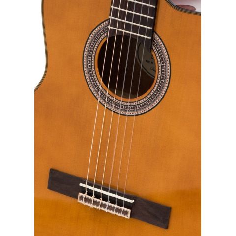 Valencia VC504C Natural Cutaway...