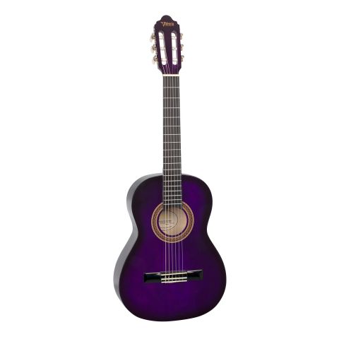 Valencia VC103PPS Purple Guitarra...