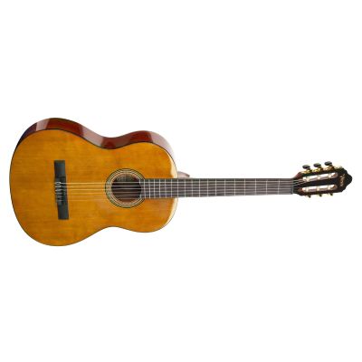 Valencia VC264HT Guitarra Clásica Antique Natural