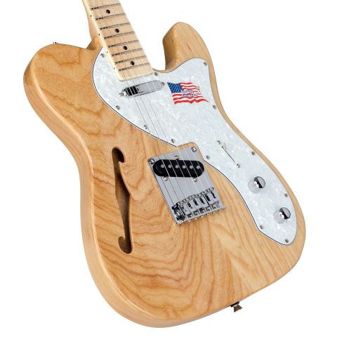 SX Tl Hollow Body Guitarra Eléctrica...