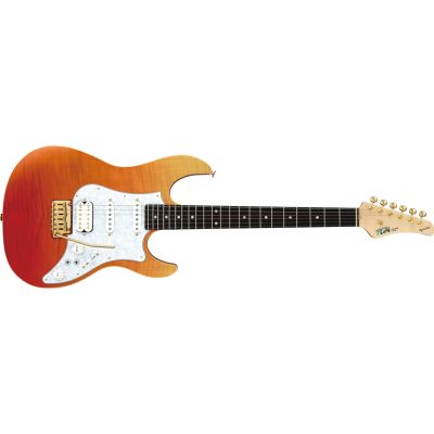 Fujigen FGN Serie Odyssey Expert RKG Guitarra Eléctrica