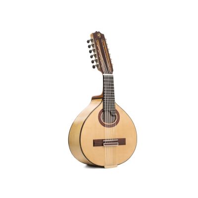 Prudencio Saez 170 Bandurria Arce Macizo