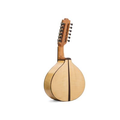 Prudencio Saez 170 Bandurria Arce Macizo
