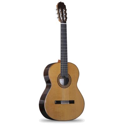 Alhambra Luthier Aniversario Ziricote