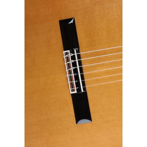 Alhambra Luthier Aniversario Ziricote