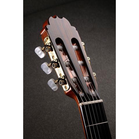Alhambra Luthier Aniversario Ziricote