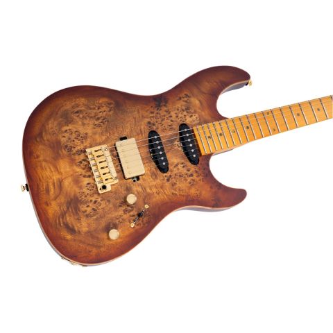 SIRE S10 HSS NATURAL BURST