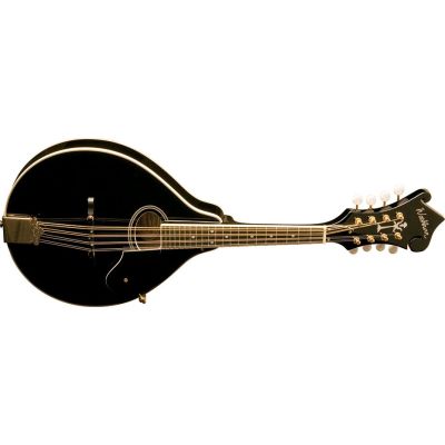 Washburn M1Sd Black Mandolina