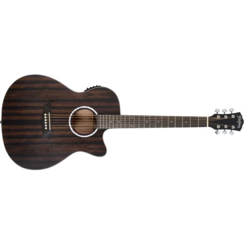 Washburn Deep Forest Ebony Ace...