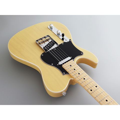 Fujigen JIL2ASHML/OMB GUITARRA...