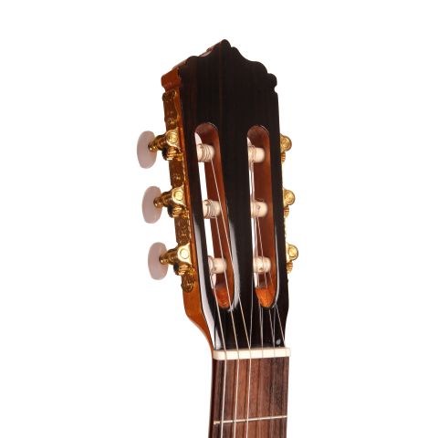 Jose Gomez F80 FLAMENCA SICOMORO