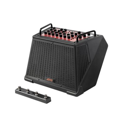 Joyo BSK-150BL AMPLIFICADOR PARA INSTRUMENTO ACUSTICO DE 150W