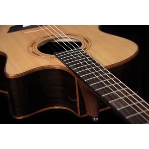 Washburn Wcg20Sce Comfort Series...