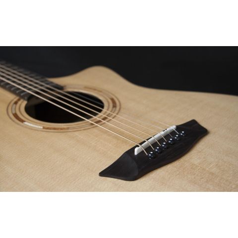 Washburn Wcg20Sce Comfort Series...