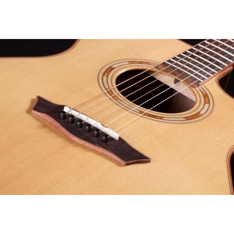 Washburn Wcg25Sce Comfort Series...
