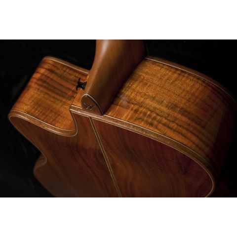 Washburn Wcg55Ce Comfort Series Koa...
