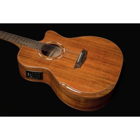 Washburn Wcg55Ce Comfort Series Koa...