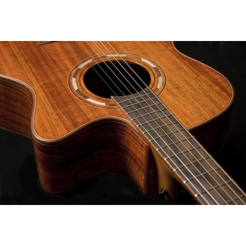 Washburn Wcg55Ce Comfort Series Koa...