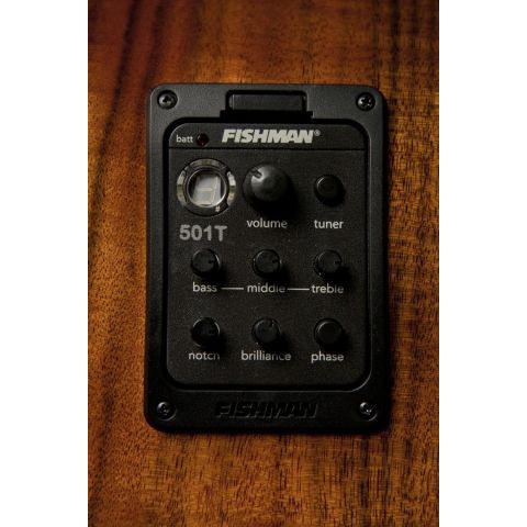 Washburn Wcg55Ce Comfort Series Koa...