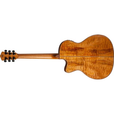 Washburn Wcg66Sce Comfort Series...