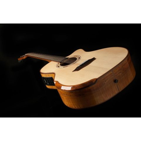 Washburn Wcg66Sce Comfort Series...