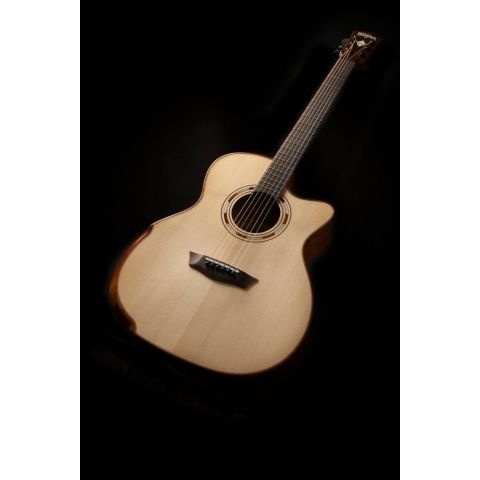 Washburn Wcg66Sce Comfort Series...
